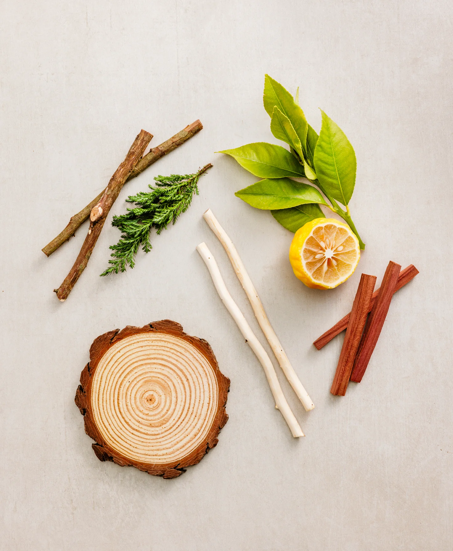 Blue Cedar & Cypress Spray Cologne - Image 6
