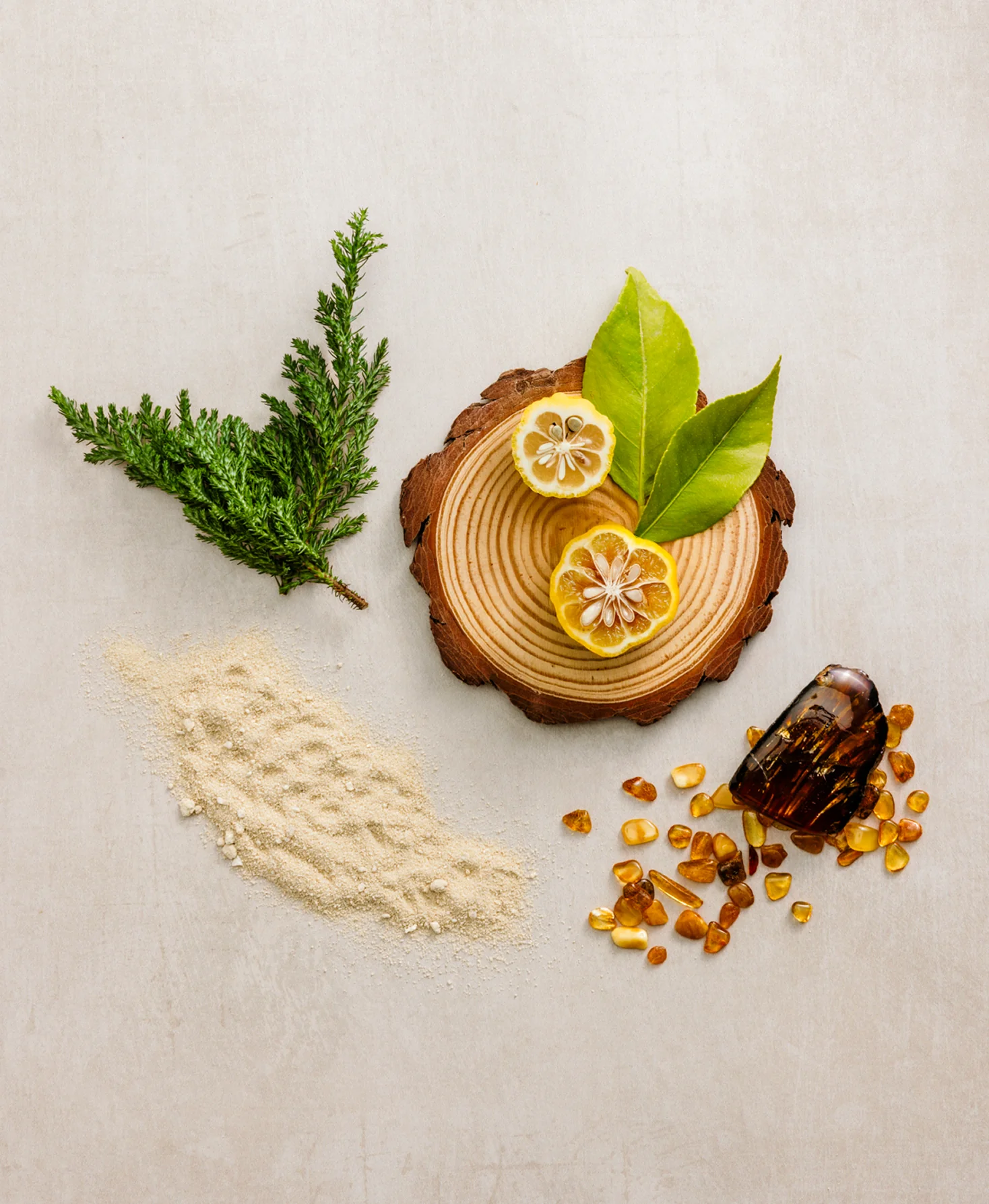 Fresh Timber Antiperspirant & Deodorant - Image 5