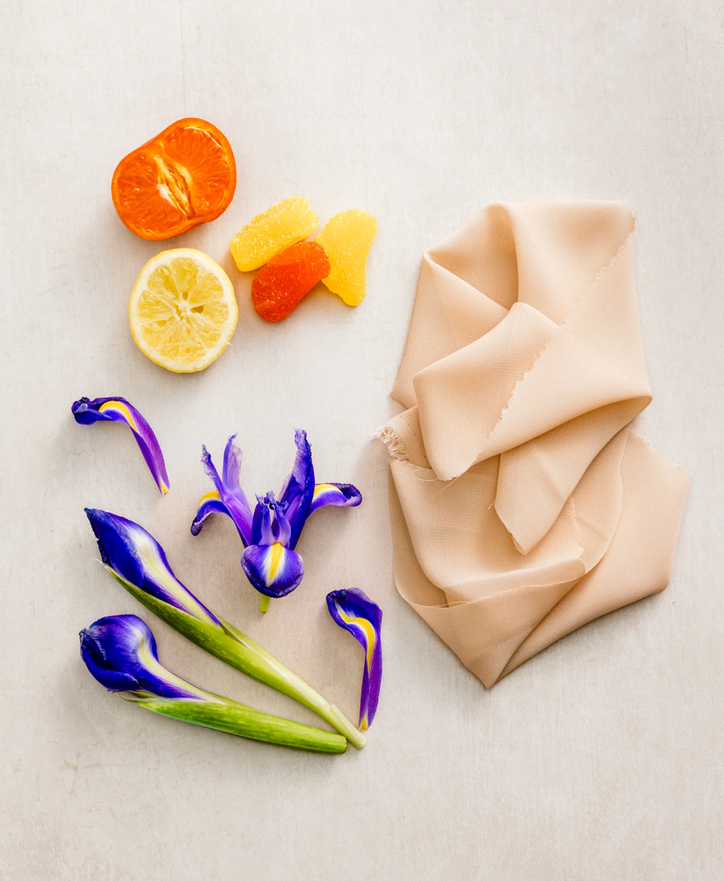Wild Iris Musk Body Wash - Image 6